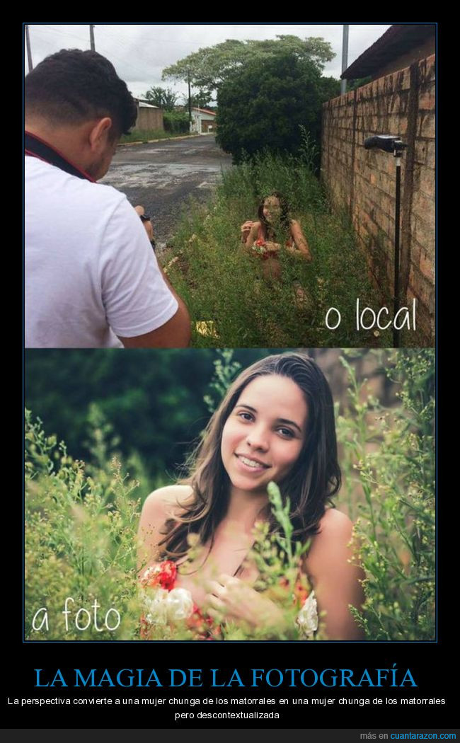 matorrales,foto,fotografía,chica